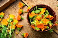 calendula oil